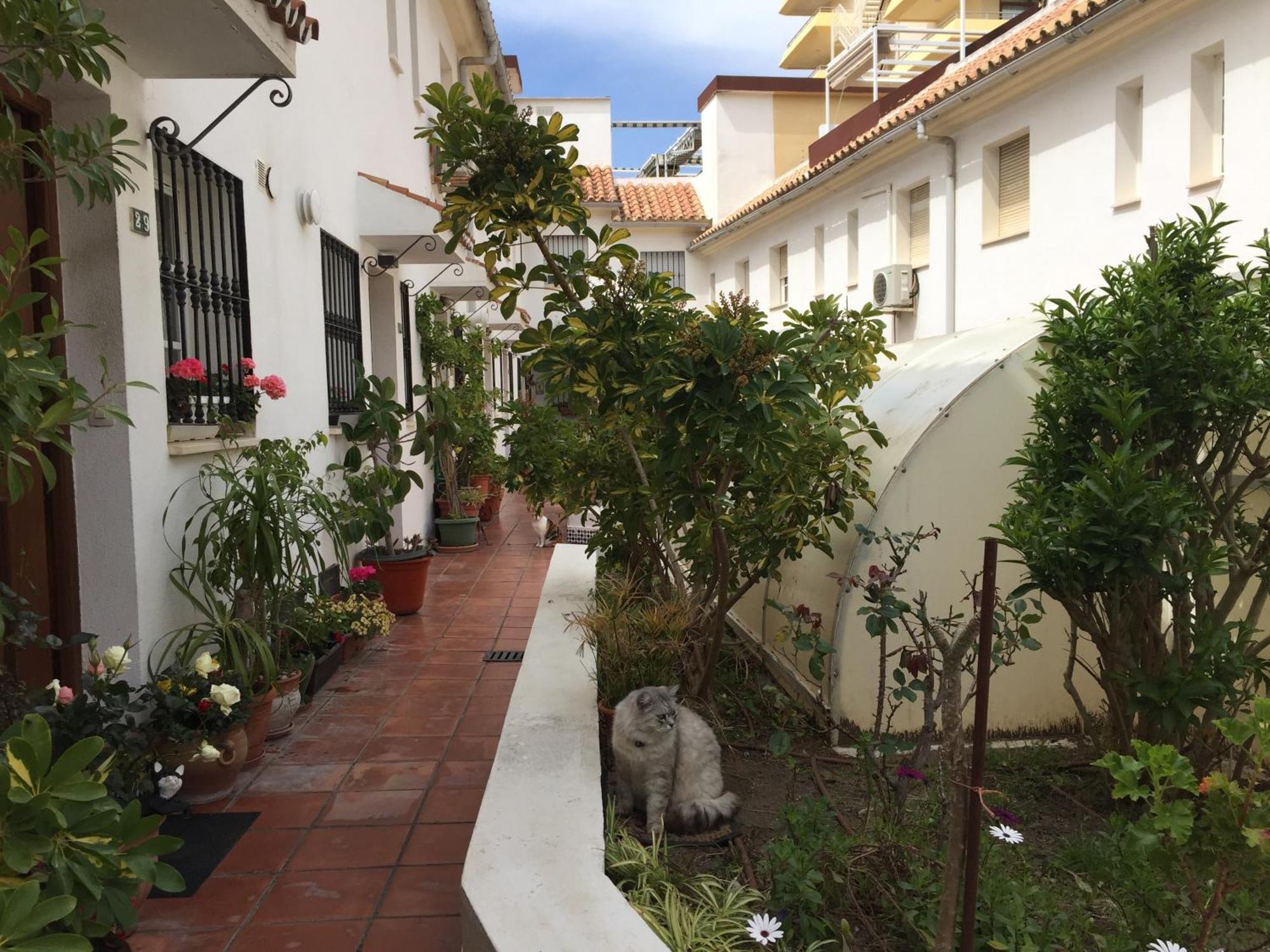 El Cortijuelo. Magnificent Triplex Terraced House With Rooftop Of 18M2, Overlooking The Sea. Parking Torremolinos Exterior foto